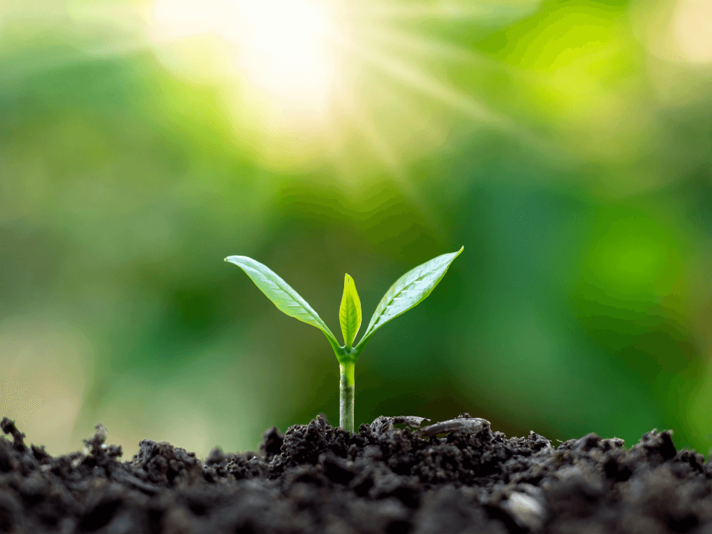 Lamazuna, des produits écologiques, éco-responsables, Zéro Déchet