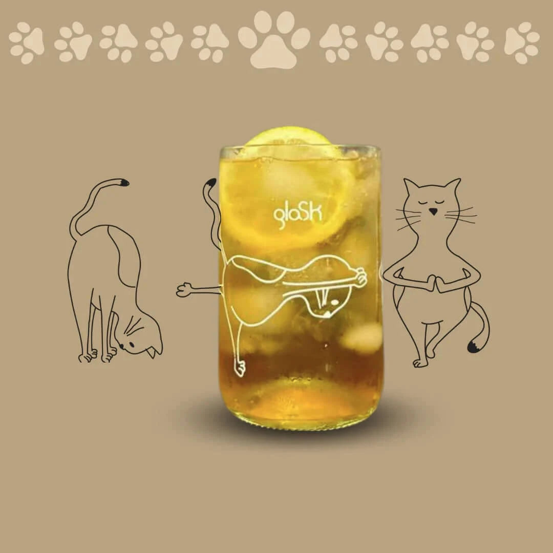 Set de 4 verres - Les chats transparent