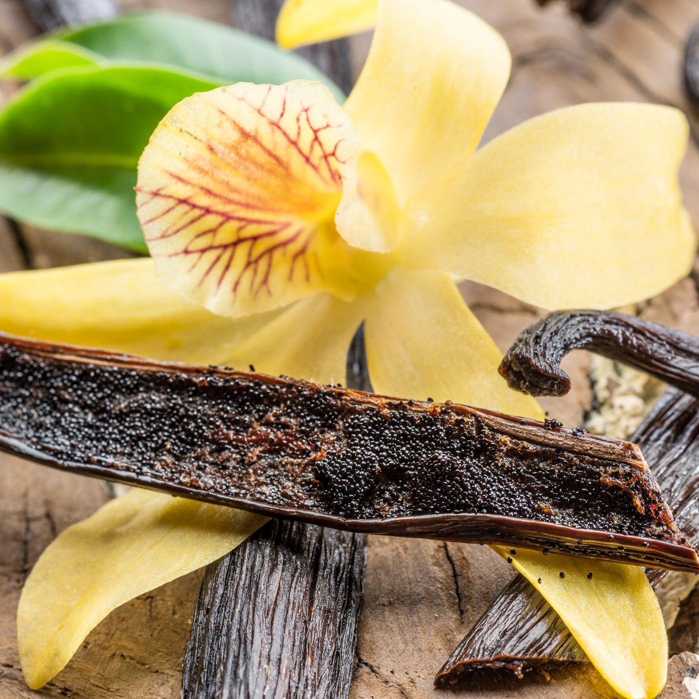 Bougie Parfumée "Orchidée vanillée" - Cire de Soja - Cap-Nature