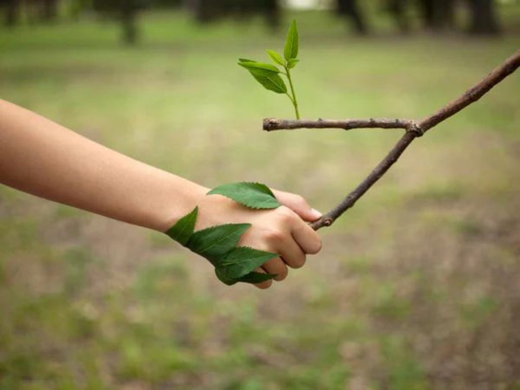 Boutique en ligne de cosmétiques naturels