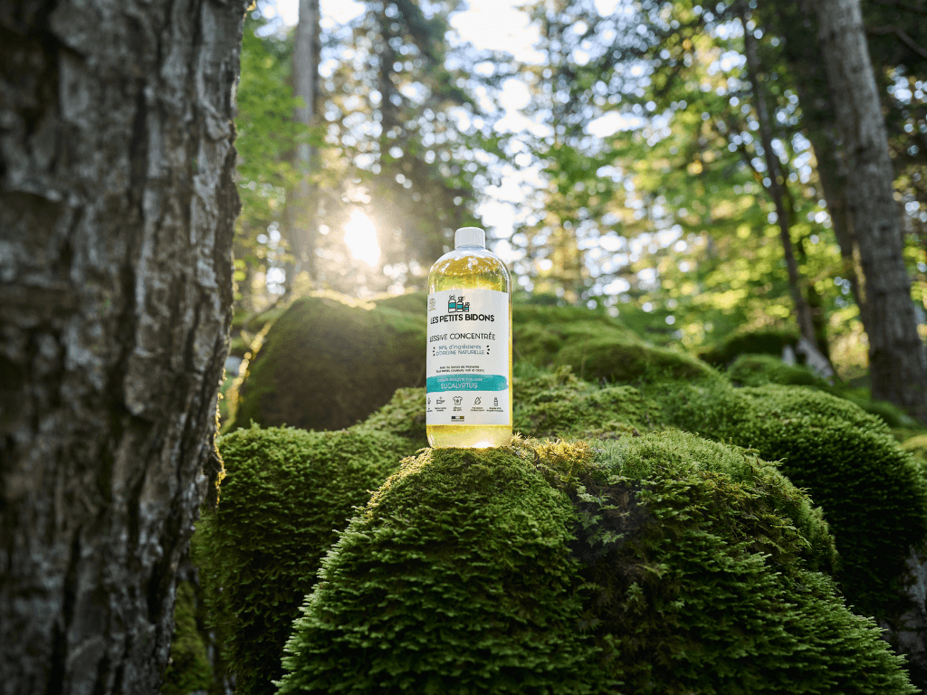 Lessive écologique et naturelle Image