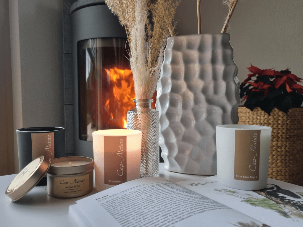 Comment reconnaître une bougie de qualité ? Immagine