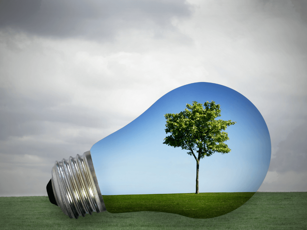 C'est quoi être éco-responsable Image