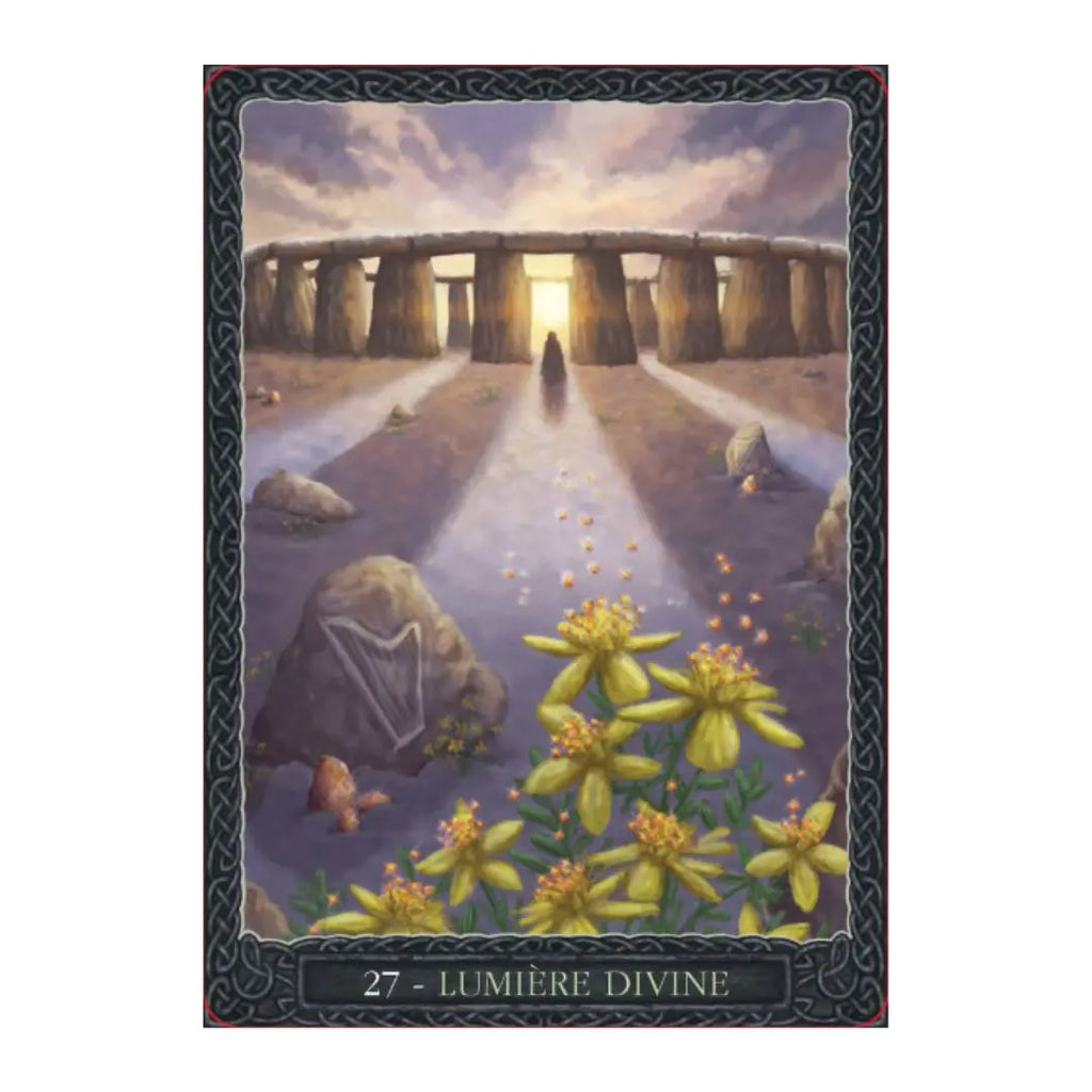 Coffret Cartes Oracle Sagesse de la Terre – Connexion, guérison & guidance naturelle Cap-Nature