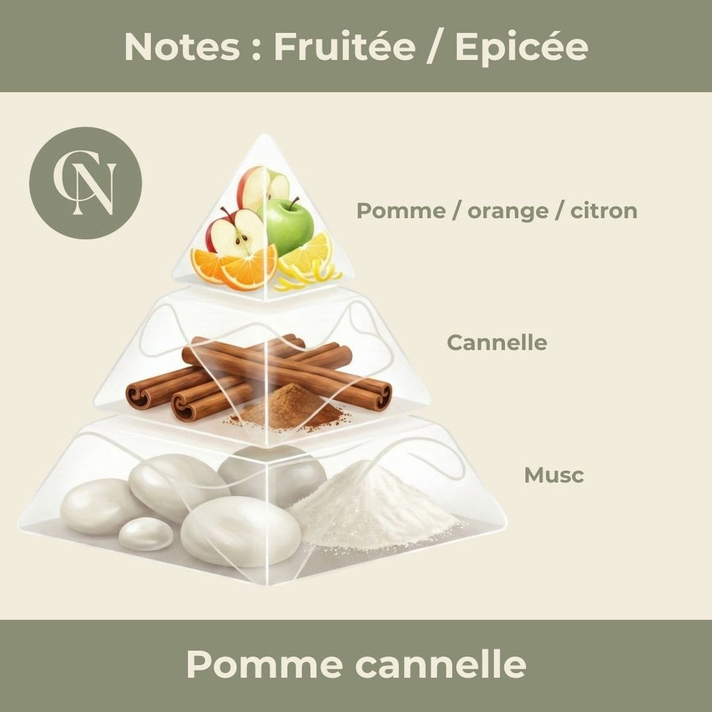 Bougie Artisanale Pomme Cannelle – Parfum Enchanteur et Ambiance Chaleureuse - Cap-Nature