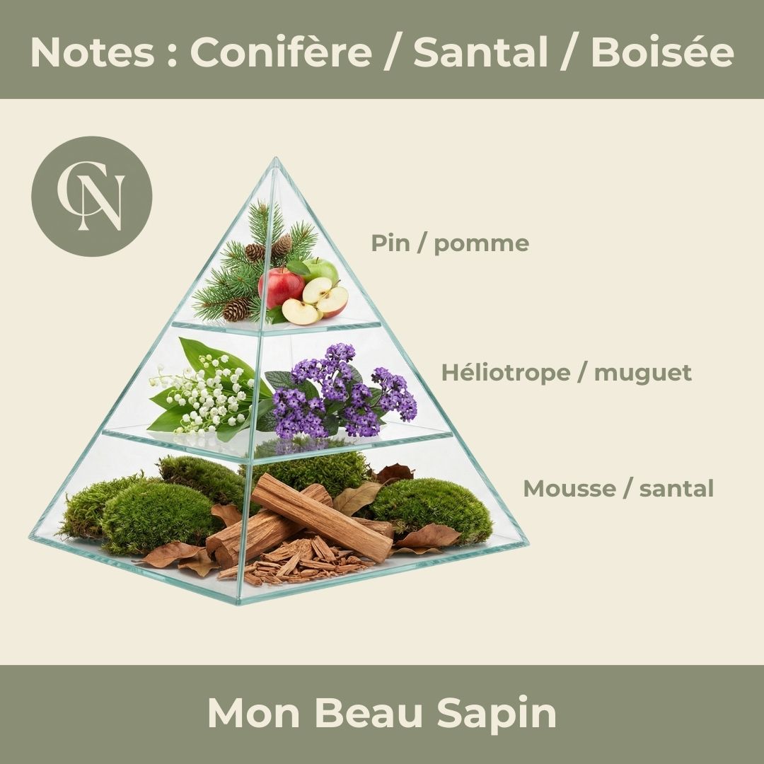 Collection Renaissance - Mon Beau Sapin - 180gr