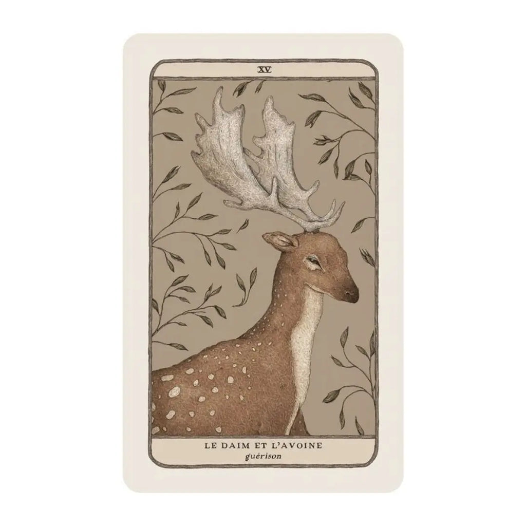 Coffret L’Oracle des gardiens des bois et des forêts – Faune, flore & sagesse ancestrale Cap-Nature