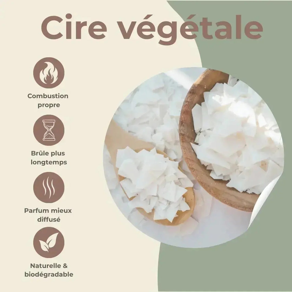 Bougie apothicaire Monoï des Îles – Évasion solaire & douceur exotique