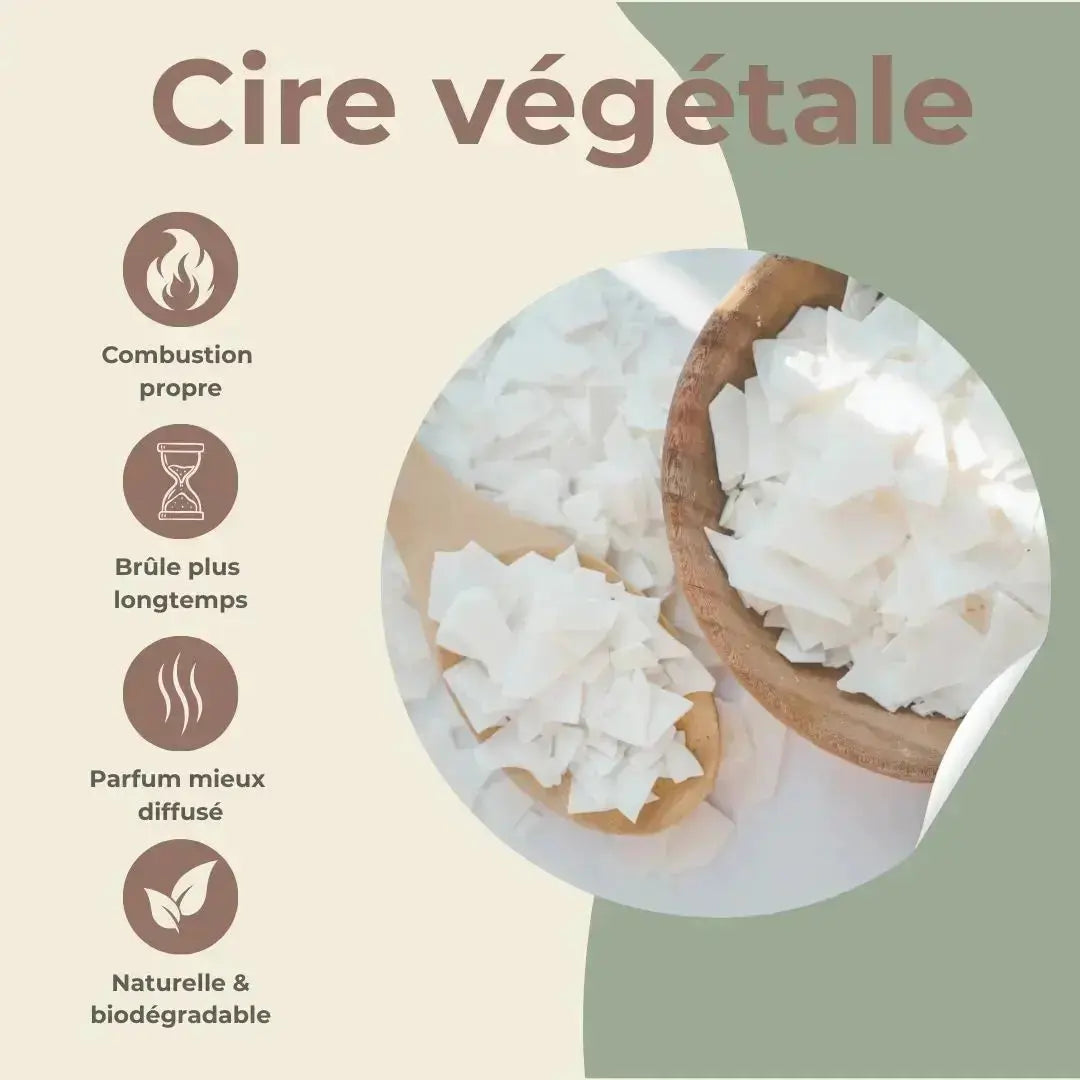 Bougie apothicaire Monoï des Îles – Évasion solaire & douceur exotique