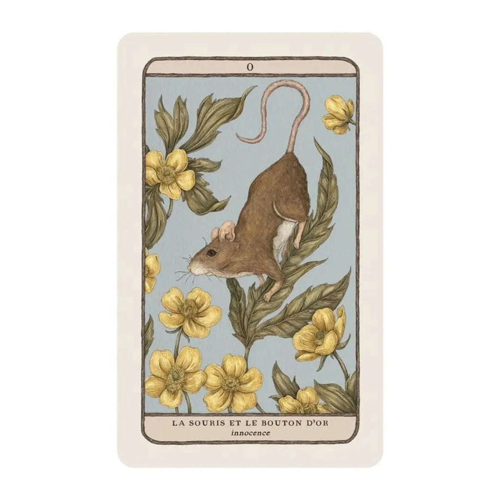 Coffret L’Oracle des gardiens des bois et des forêts – Faune, flore & sagesse ancestrale Cap-Nature