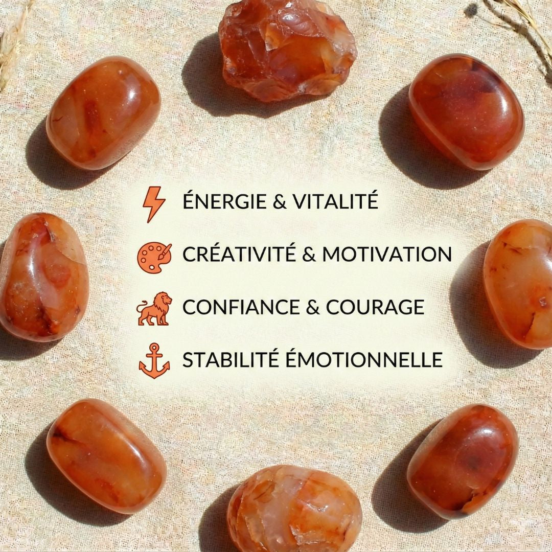 Candela alla corniola e profumo di fiori di cotone