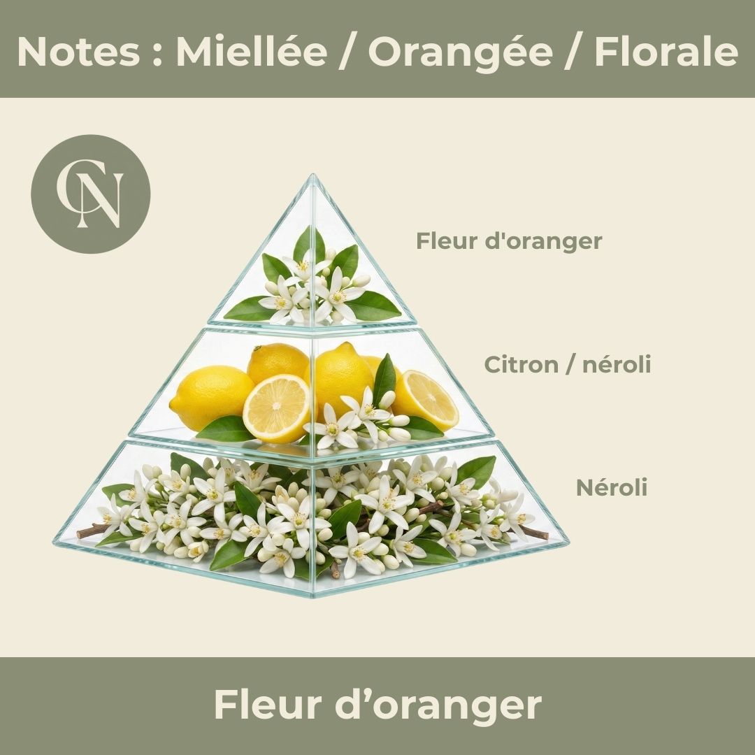 Bougie Parfumée "Fleur d'oranger" - Cire de Soja
