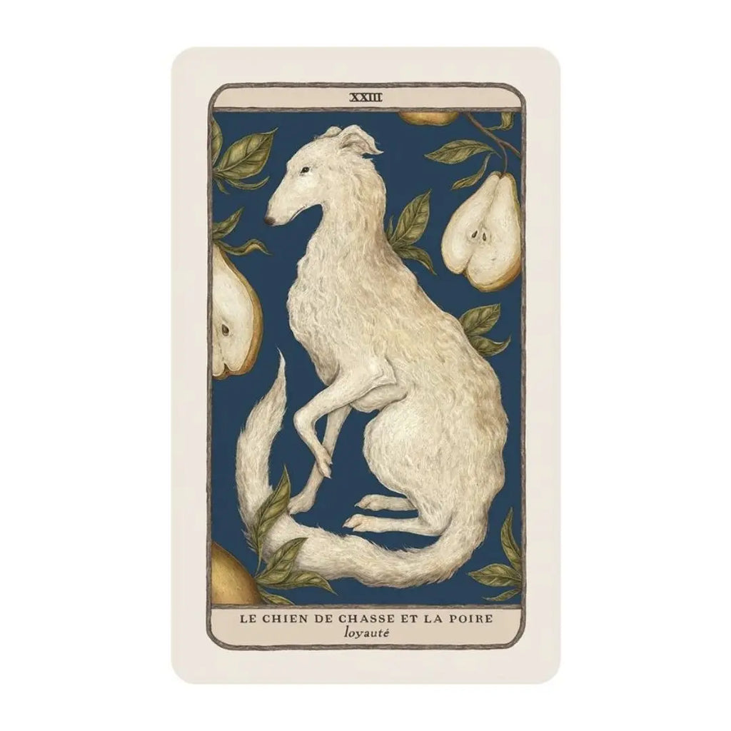 Coffret L’Oracle des gardiens des bois et des forêts – Faune, flore & sagesse ancestrale Cap-Nature