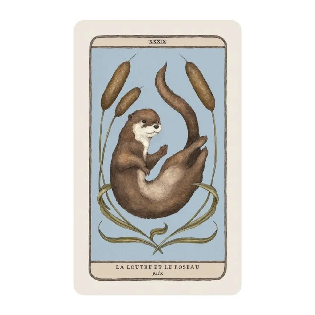 Coffret L’Oracle des gardiens des bois et des forêts – Faune, flore & sagesse ancestrale Cap-Nature