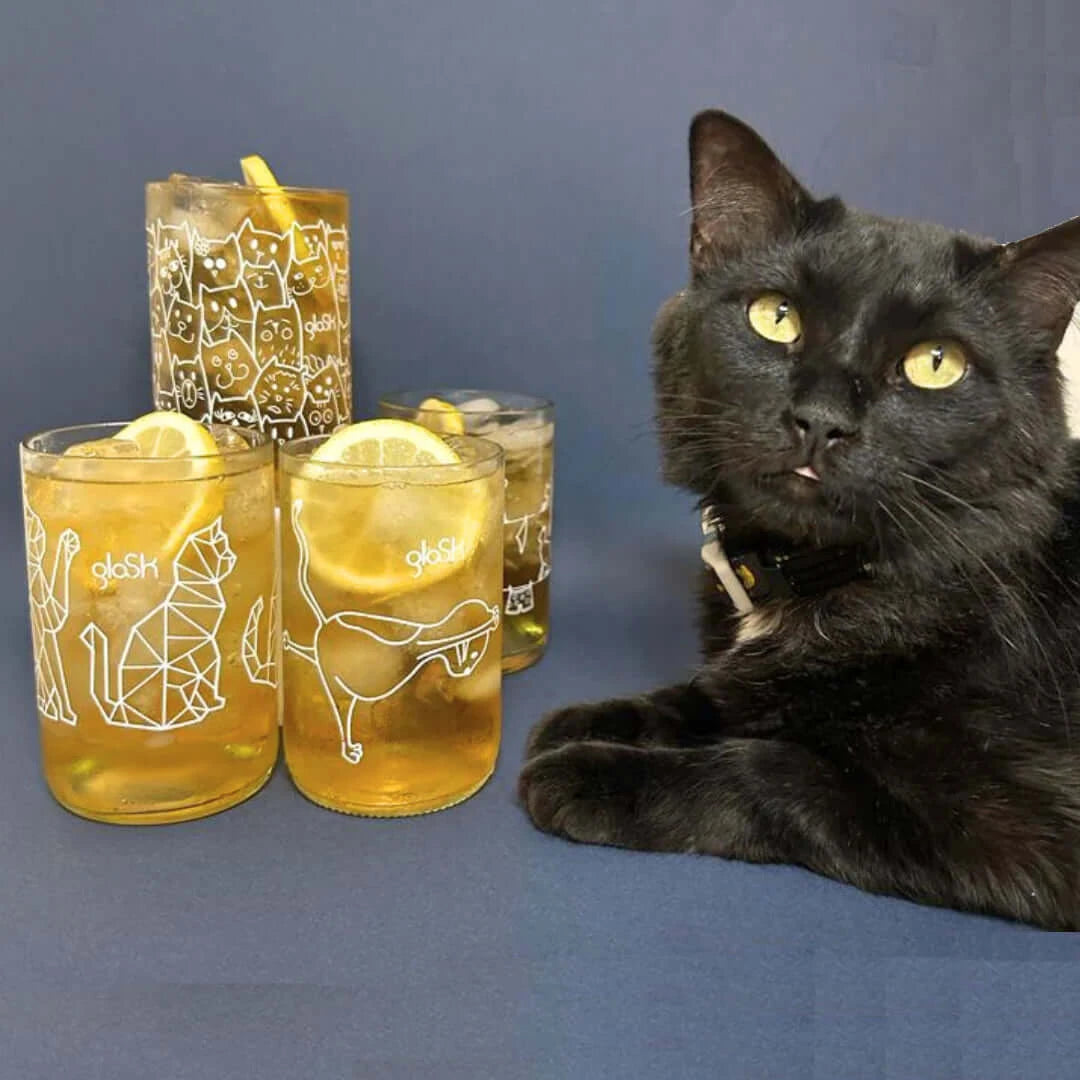 Set mit 4 Gläsern – Transparente Katzen