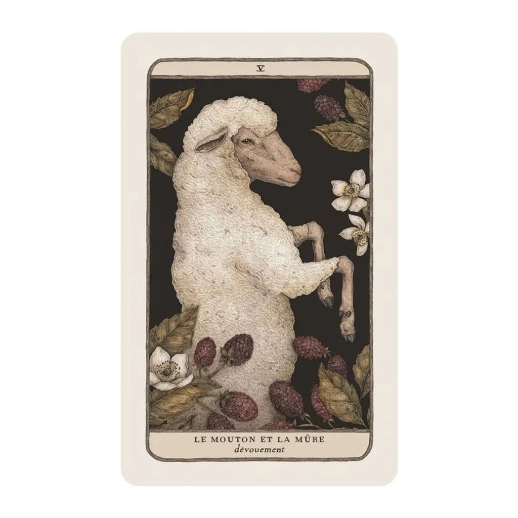 Coffret L’Oracle des gardiens des bois et des forêts – Faune, flore & sagesse ancestrale Cap-Nature