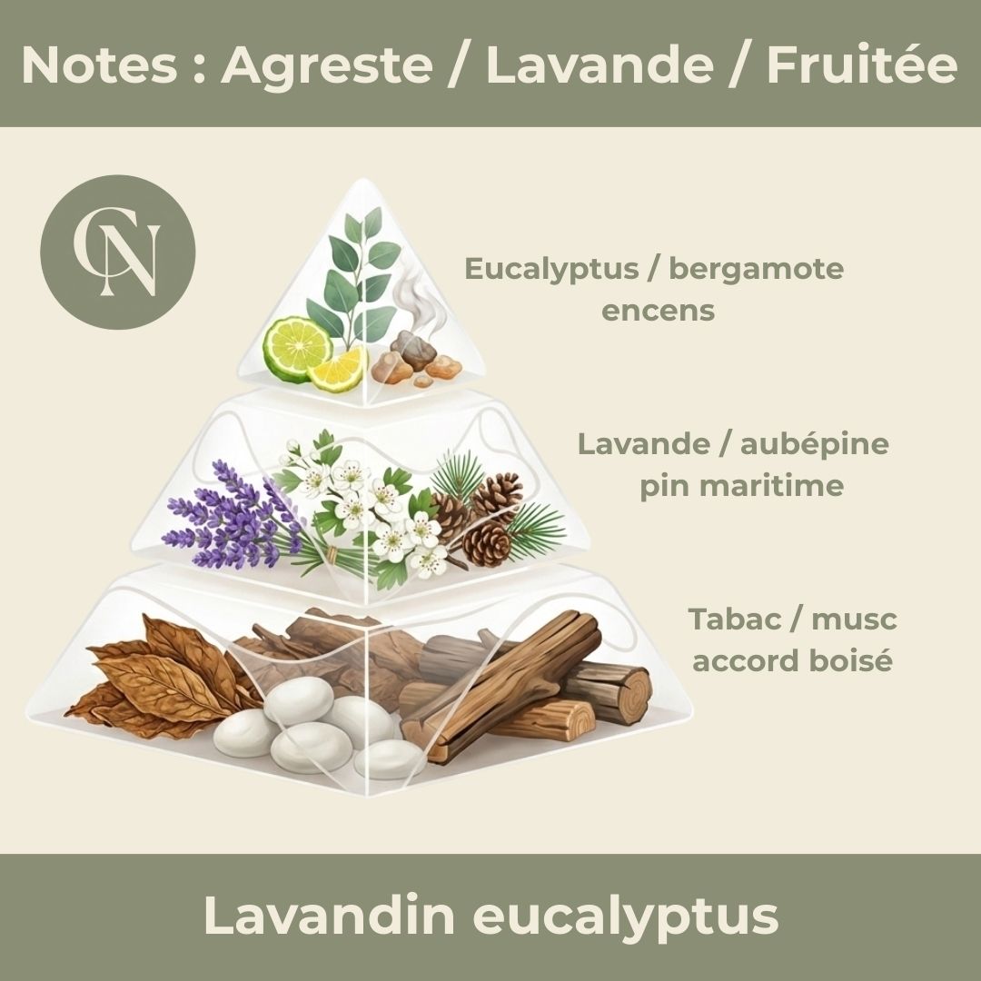 Bougie Artisanale Parfumée Lavandin & Eucalyptus – Fraîcheur et Sérénité Naturelles
