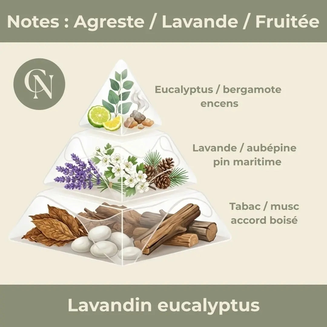 Bougie Artisanale Parfumée Lavandin & Eucalyptus – Fraîcheur et Sérénité Naturelles - Cap-Nature Immagine