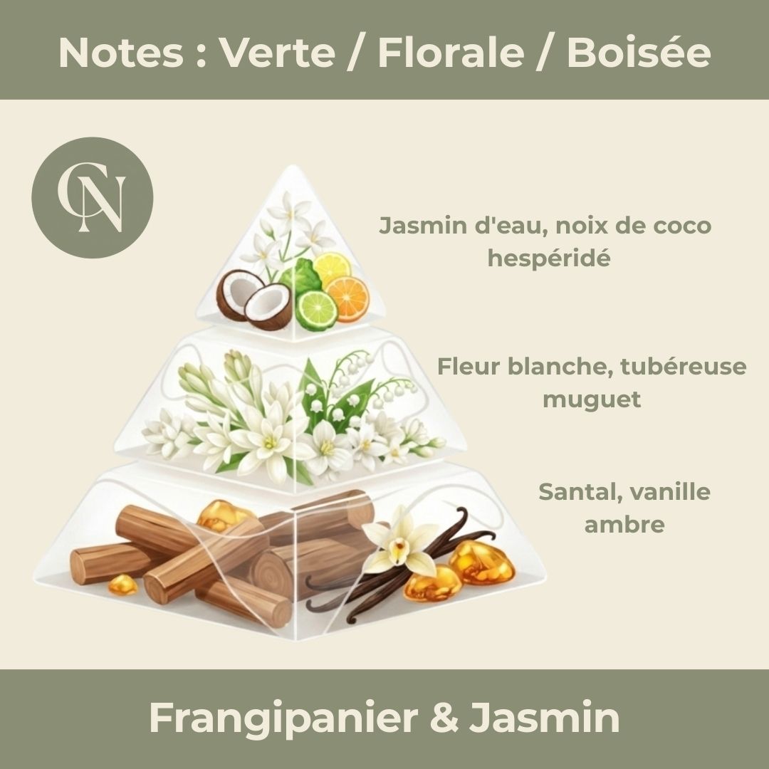 Bougie parfumée Frangipanier & Jasmin - Cire de Soja