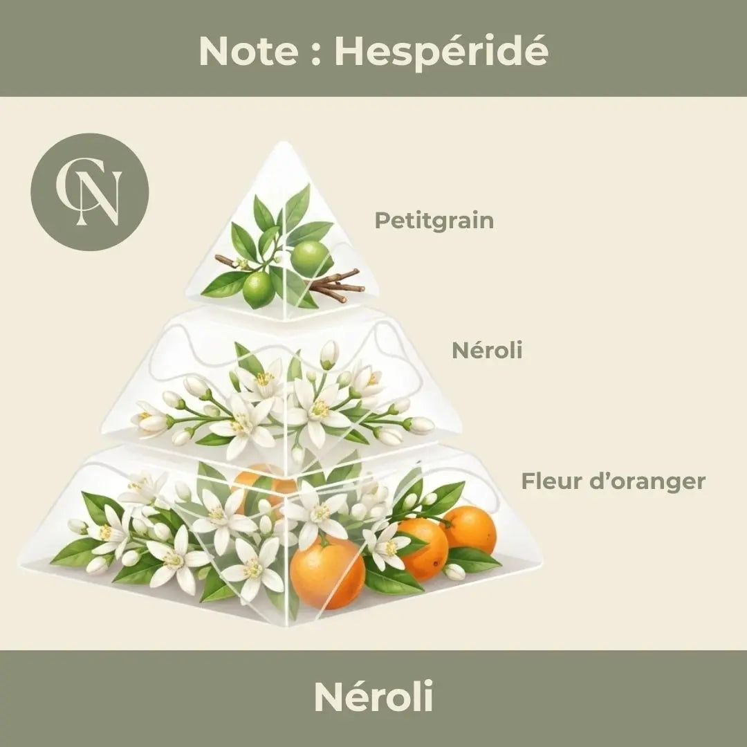 Parfum Néroli – La lumière douce du rituel Eterna Cap-Nature Bild