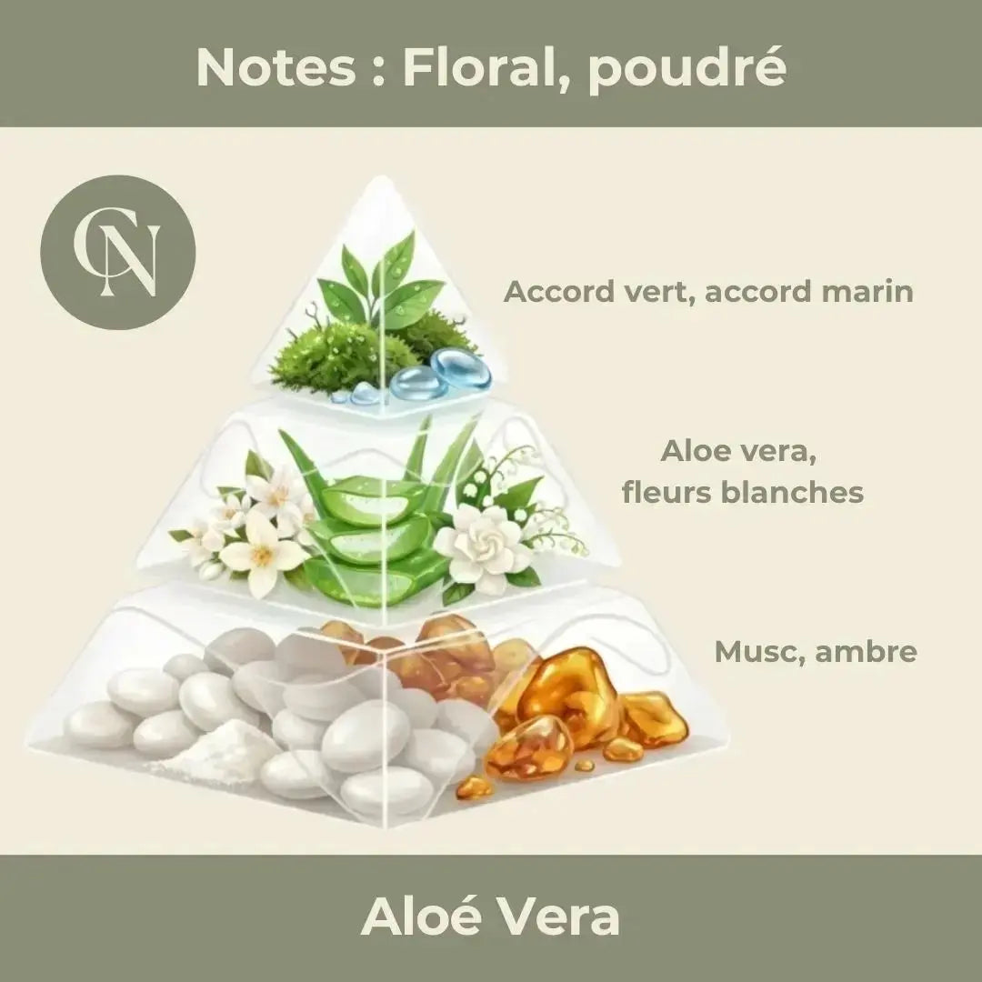 Bougie parfumée Aloé Vera – Pureté fraîche & douceur apaisante - Cap-Nature Image