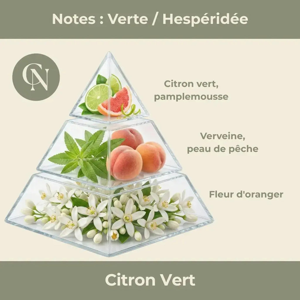 Bougie parfumée Citron Vert – Fraîcheur vive & énergie lumineuse Cap-Nature