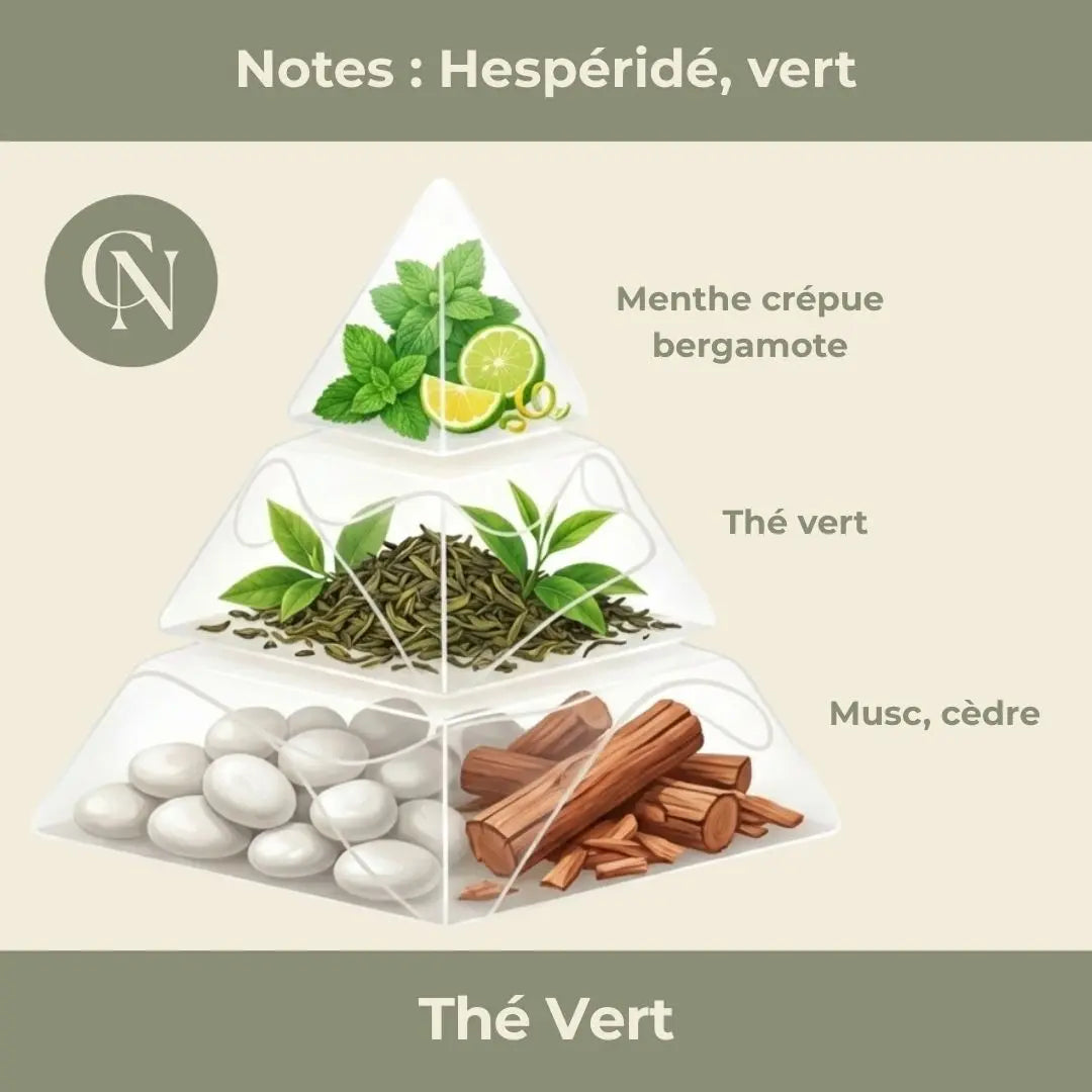 Bougie parfumée Thé Vert – Pureté végétale & sérénité fraîche Cap-Nature Image