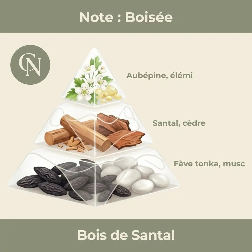 Bougie parfumée Bois de Santal – Profondeur boisée & apaisement intérieur Cap-Nature
