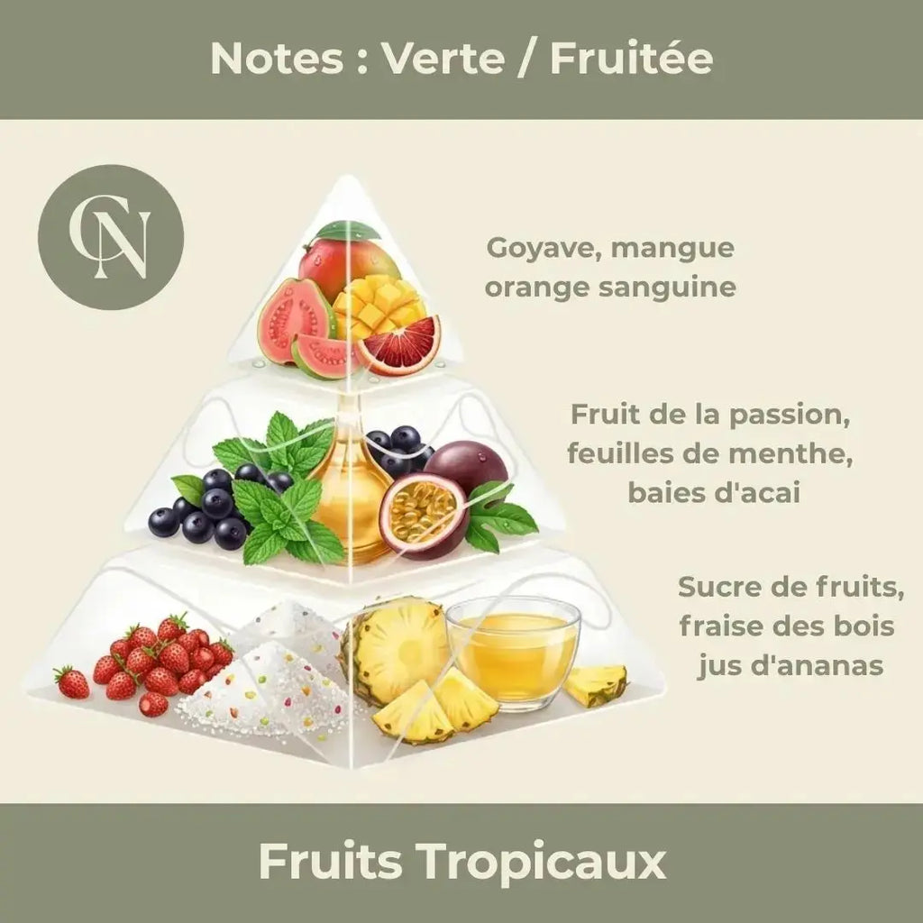 Bougie parfumée Fruits Tropicaux – Énergie solaire & gourmandise exotique - Cap-Nature