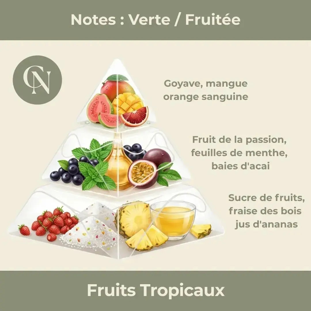 Bougie parfumée Fruits Tropicaux – Énergie solaire & gourmandise exotique - Cap-Nature Image