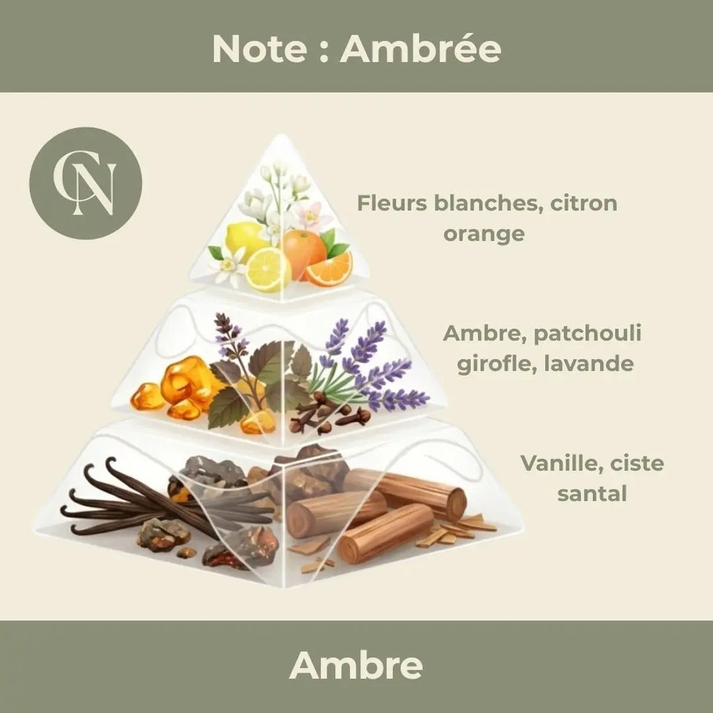 Bougie parfumée Ambre – Chaleur enveloppante & élégance intemporelle Cap-Nature