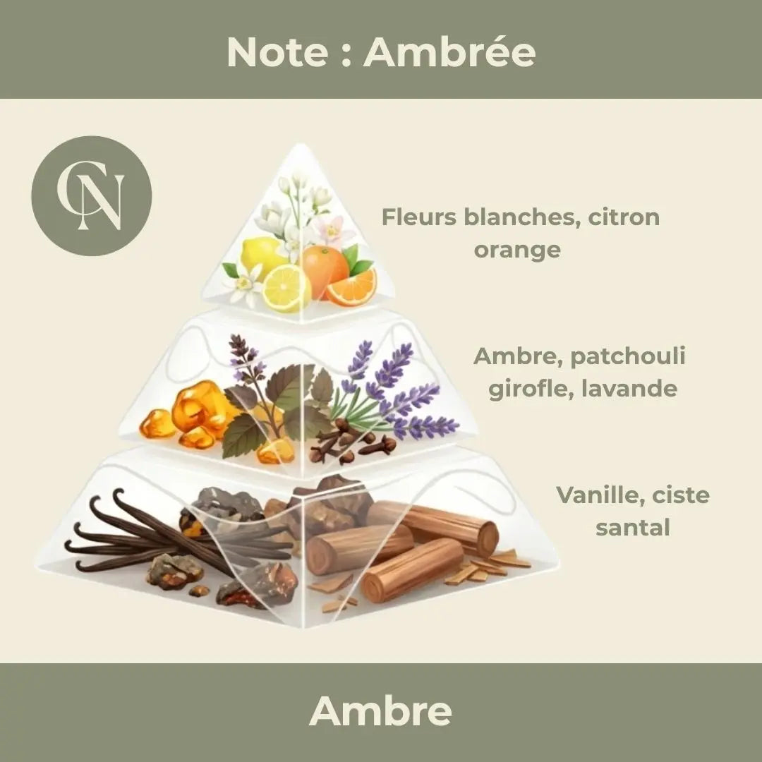 Bougie parfumée Ambre – Chaleur enveloppante & élégance intemporelle Cap-Nature Immagine