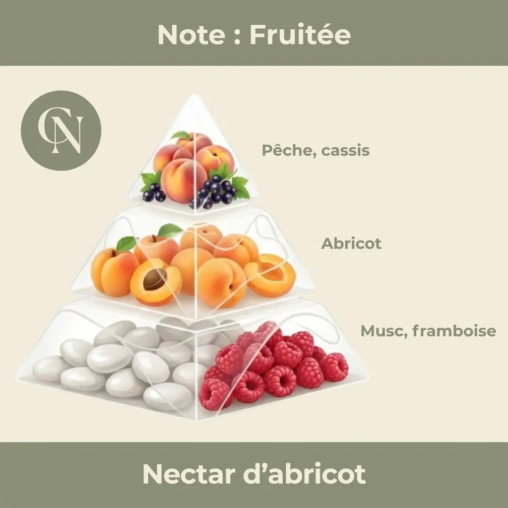 Bougie parfumée Nectar d’Abricot – Douceur solaire & gourmandise lumineuse Cap-Nature