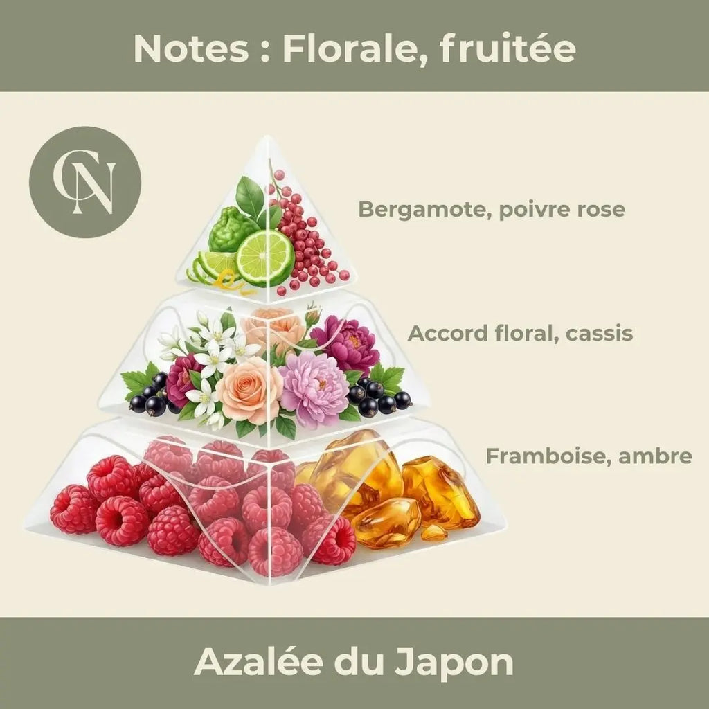 Parfum Azalée du Japon – L’élégance florale au cœur du rituel Eterna Cap-Nature