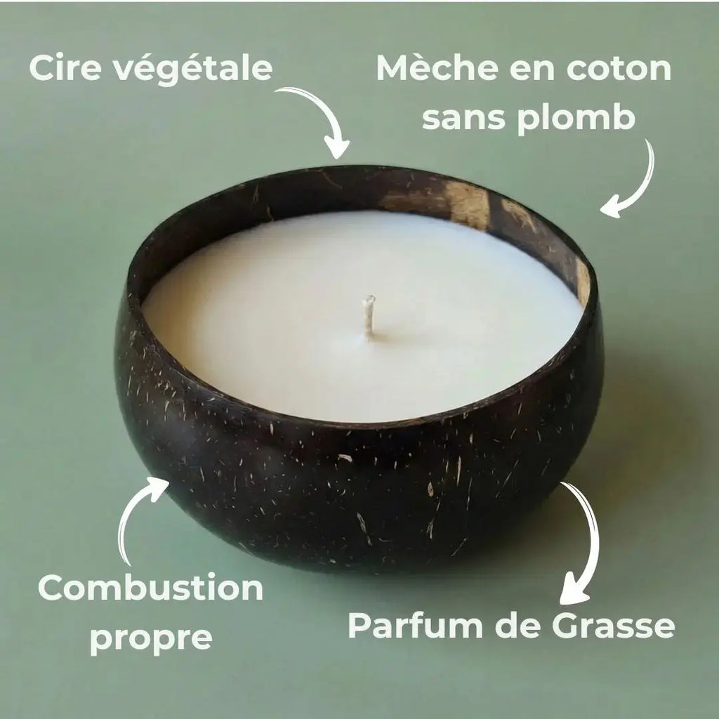 Douceur tropicale – Frangipanier Jasmin & Quartz rose