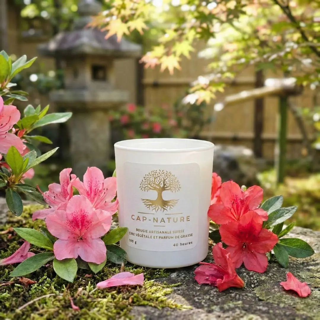 Bougie parfumée Azalée du Japon – Délicatesse florale & douceur fruitée Cap-Nature