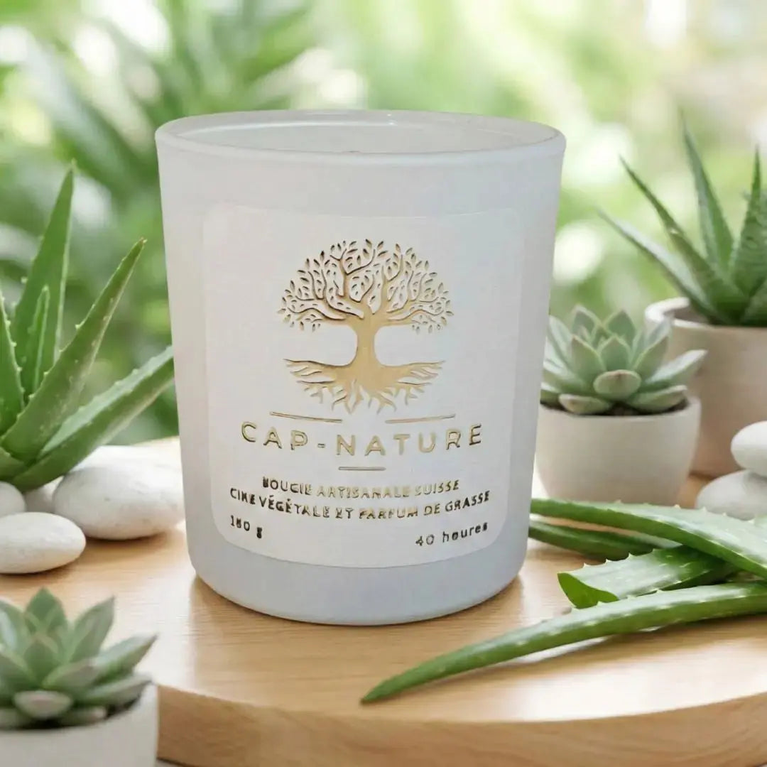 Bougie parfumée Aloé Vera – Pureté fraîche & douceur apaisante - Cap-Nature
