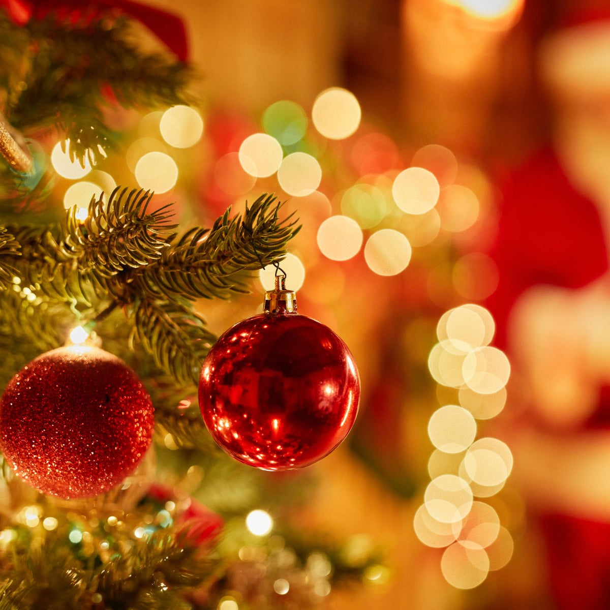 Bougie Parfumée à la Cire de Soja – Magie de Noël - Cap-Nature