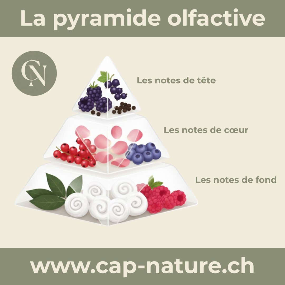 Pyramide olfactive des bougies : comprendre les notes de parfum – Cap ...