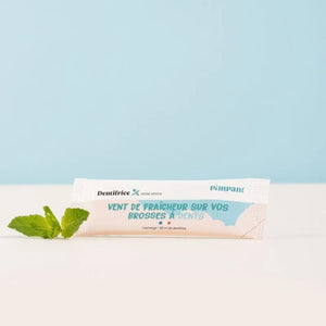 Recharge dentifrice Menthe - Pimpant - Cap-Nature