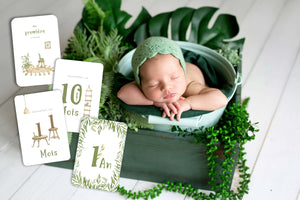 15 Cartes étapes naissance bébé jungle, vert et marron - Cap-Nature